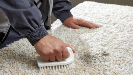 Professional Rug Cleaning Point Leo
