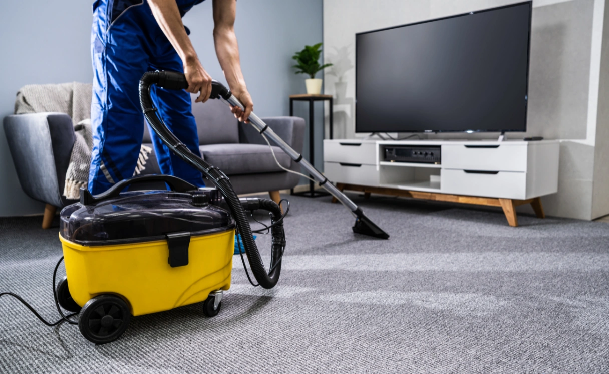 Extract Rug Cleaning Point Leo Contact Office